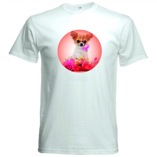 Camisa Chihuahua